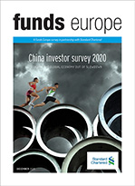 category China Investor Survey 2020